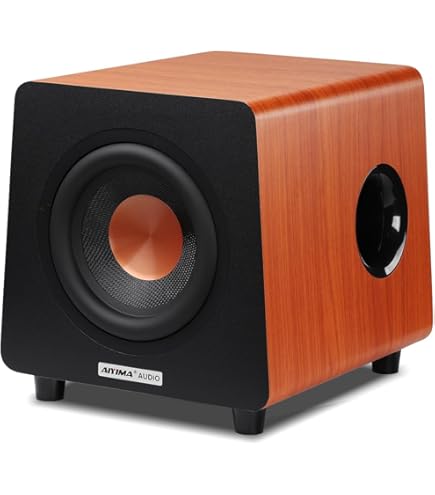 Amazon.com: Tivoli Audio Model Subwoofer (White) : Electronics